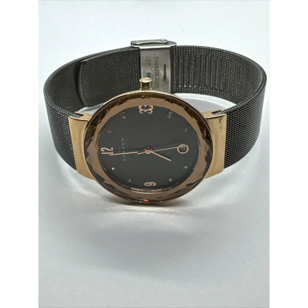 Skagen SKW2120 Women's Gray Stainless Steel Mesh Analog Dial Quartz Watch JNA907